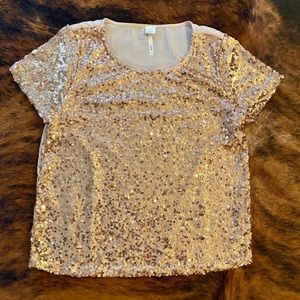 Sequin Blouse